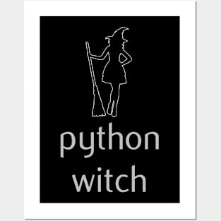 Python Programming Witch Posters and Art